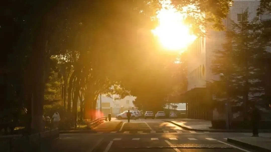 定格|今日霜降，祝你好柿成“霜”