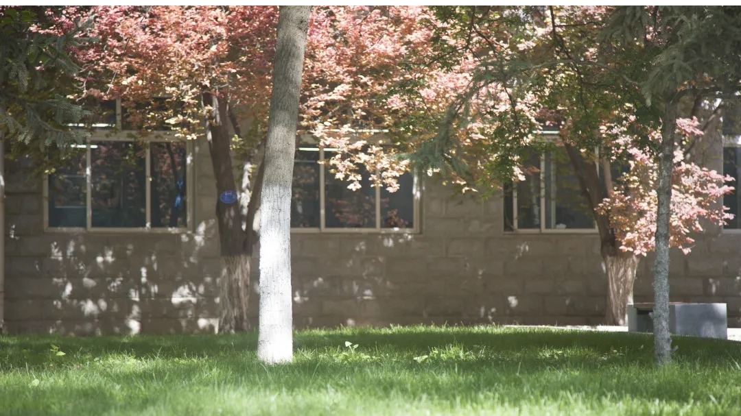 定格 | “夏至”交大，美好而至