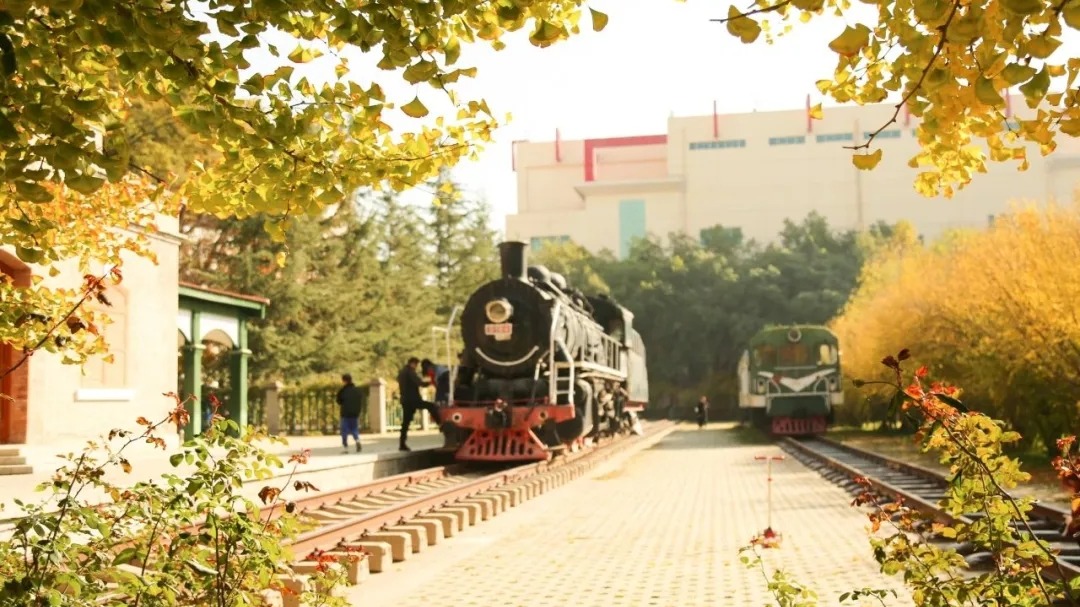 定格| “银”为有你 三生有“杏”