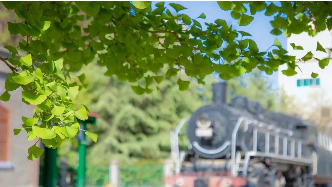 交大微节气｜立夏将离春也去，几枝蕙草正芳舒