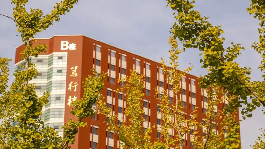 定格| 半青半黄染白露，不知不觉与秋分