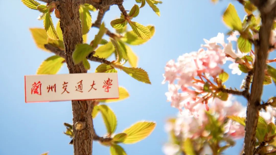 定格| 送你三月的风，祝你春风得意